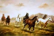 unknow artist Horses 03 France oil painting artist